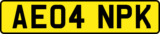 AE04NPK
