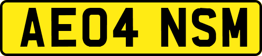 AE04NSM