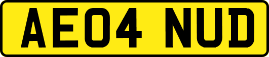 AE04NUD
