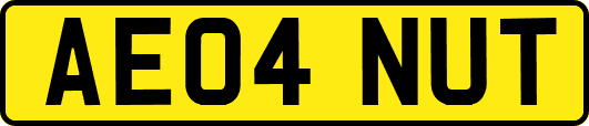 AE04NUT