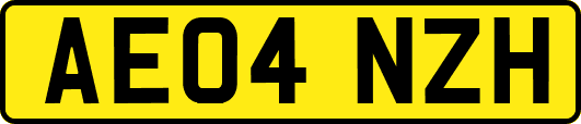 AE04NZH
