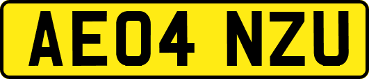 AE04NZU