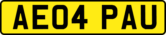 AE04PAU