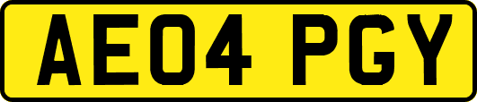 AE04PGY