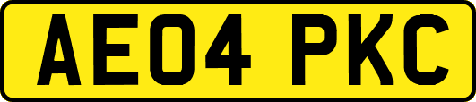 AE04PKC