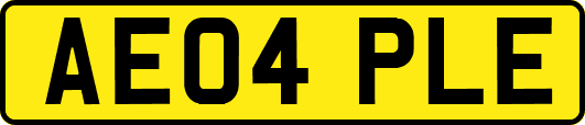 AE04PLE