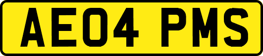AE04PMS