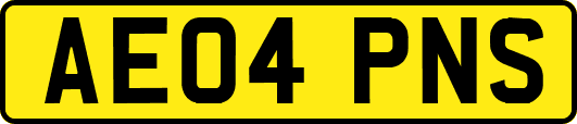 AE04PNS