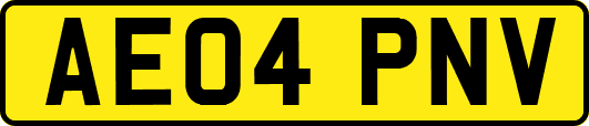 AE04PNV