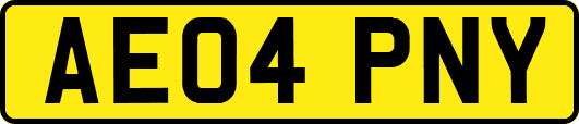 AE04PNY