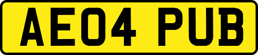 AE04PUB