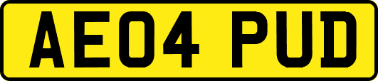 AE04PUD
