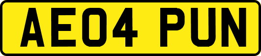 AE04PUN