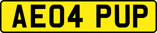 AE04PUP