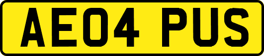 AE04PUS
