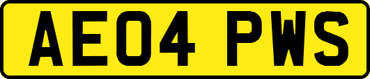 AE04PWS