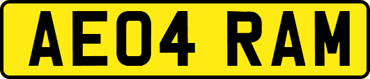 AE04RAM