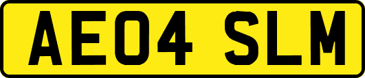 AE04SLM