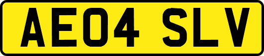 AE04SLV