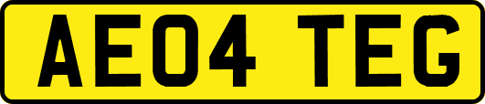AE04TEG