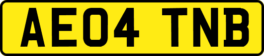 AE04TNB