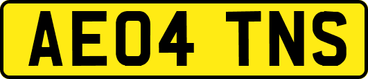 AE04TNS