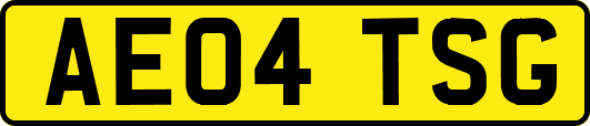 AE04TSG