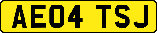 AE04TSJ