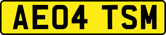 AE04TSM