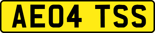 AE04TSS
