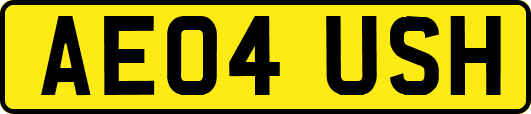 AE04USH