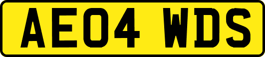AE04WDS