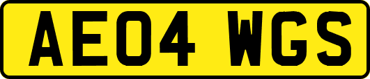 AE04WGS