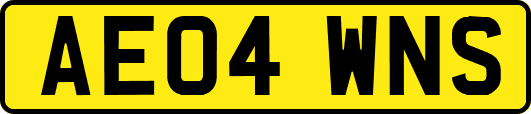 AE04WNS