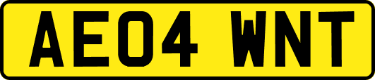 AE04WNT