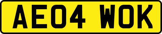AE04WOK