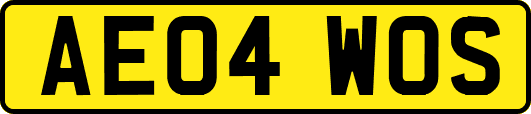 AE04WOS