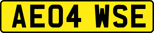 AE04WSE