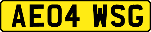 AE04WSG