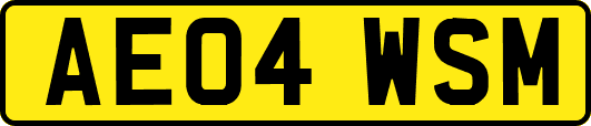 AE04WSM