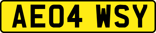 AE04WSY