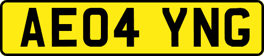 AE04YNG