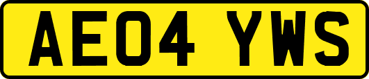 AE04YWS