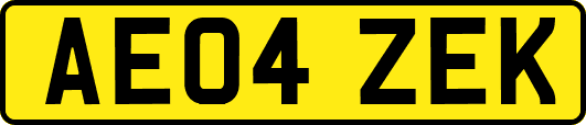 AE04ZEK