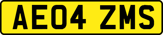 AE04ZMS