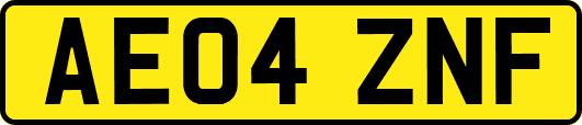 AE04ZNF