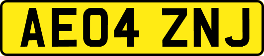 AE04ZNJ
