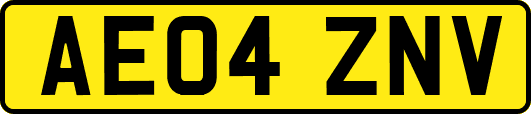 AE04ZNV