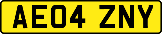 AE04ZNY