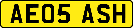 AE05ASH